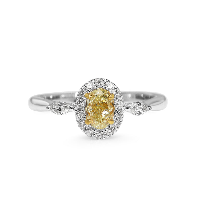 18ct White Gold Oval Yellow Diamond Halo Ring