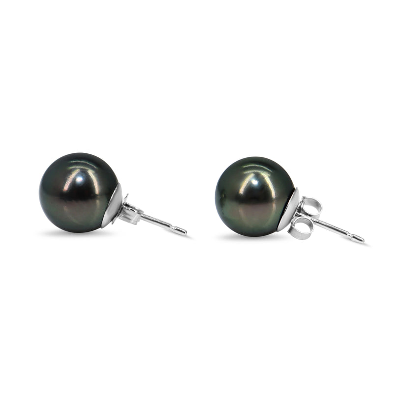 14ct White Gold 10mm Tahitian Pearl Stud Earrings