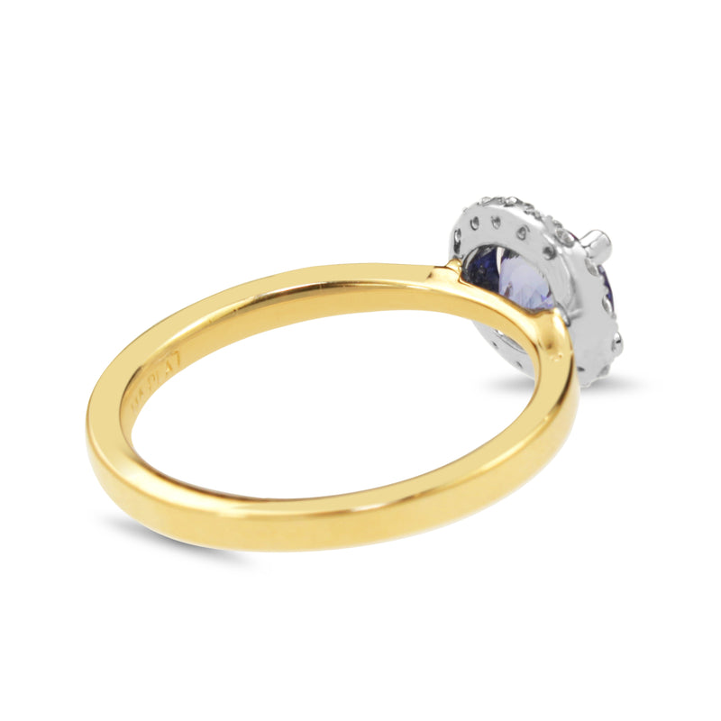 18ct Yellow and White Gold East West Set Sapphire and Diamond Halo Ring