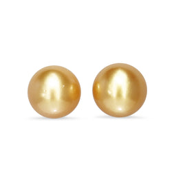 18ct Yellow Gold 11mm Golden South Sea Pearl Stud Earrings