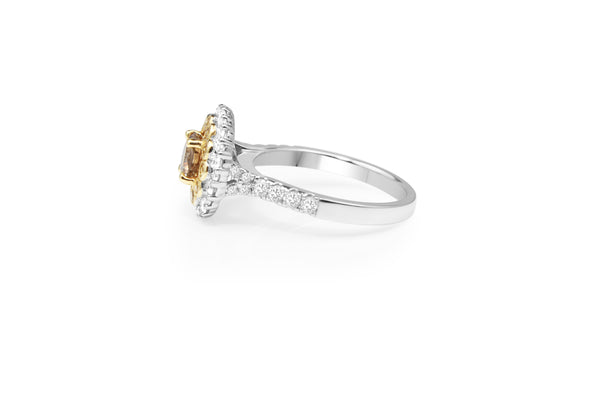 18ct White and Yellow Gold Champagne Diamond Ring