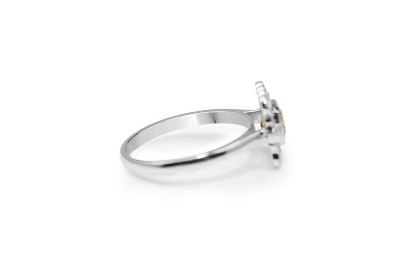 18ct White Gold Champagne Diamond Halo Ring