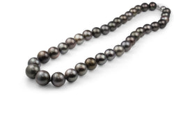 10 - 12mm Tahititan Pearl Necklace on 9ct White Gold Clasp