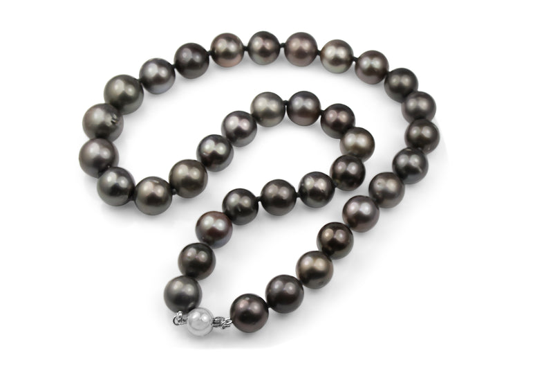 10 - 12mm Tahititan Pearl Necklace on 9ct White Gold Clasp