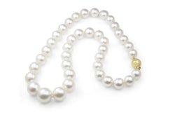 10mm - 14mm South Sea Pearl Necklace On 9ct Yellow Gold Clasp