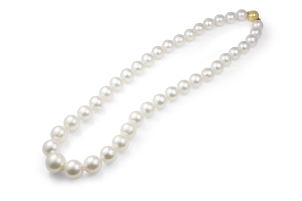 10mm - 14mm South Sea Pearl Necklace On 9ct Yellow Gold Clasp