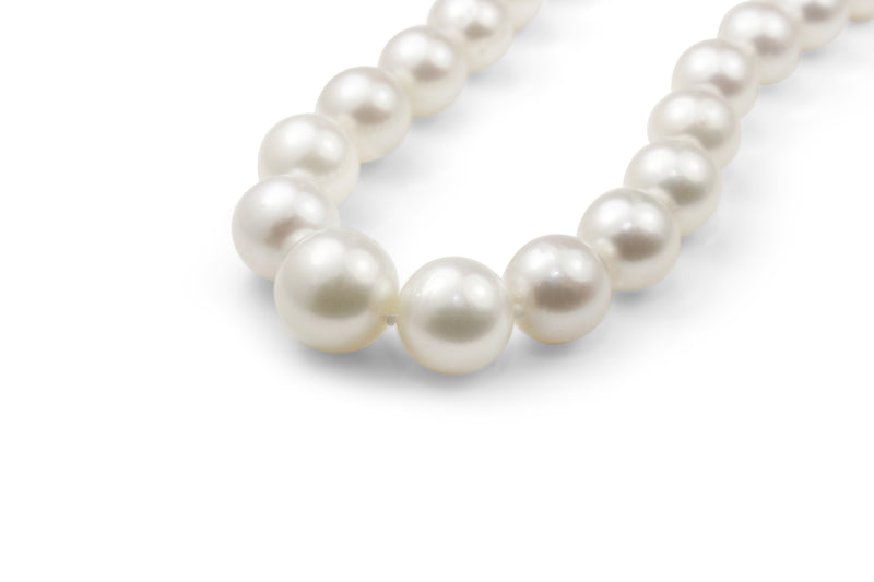 10mm - 14mm South Sea Pearl Necklace On 9ct Yellow Gold Clasp