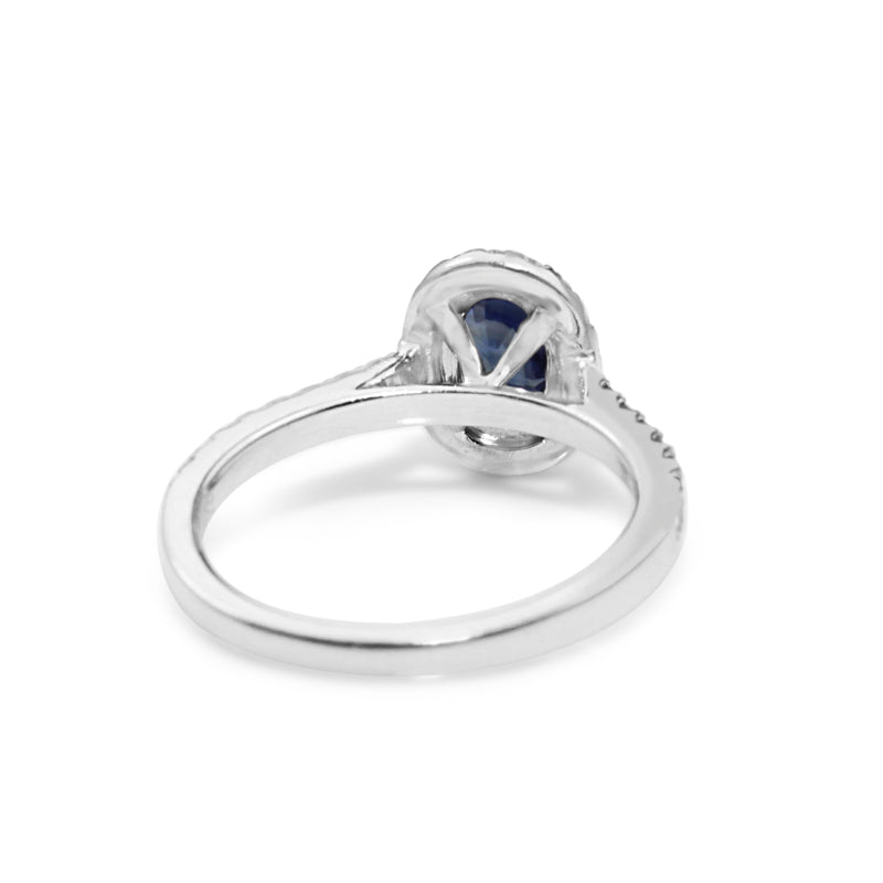 18ct White Gold Sapphire and Diamond Halo Ring