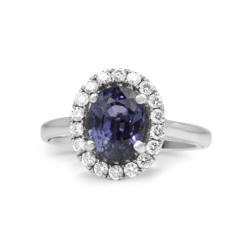 18ct White Gold Tanzanite and Diamond Halo Ring