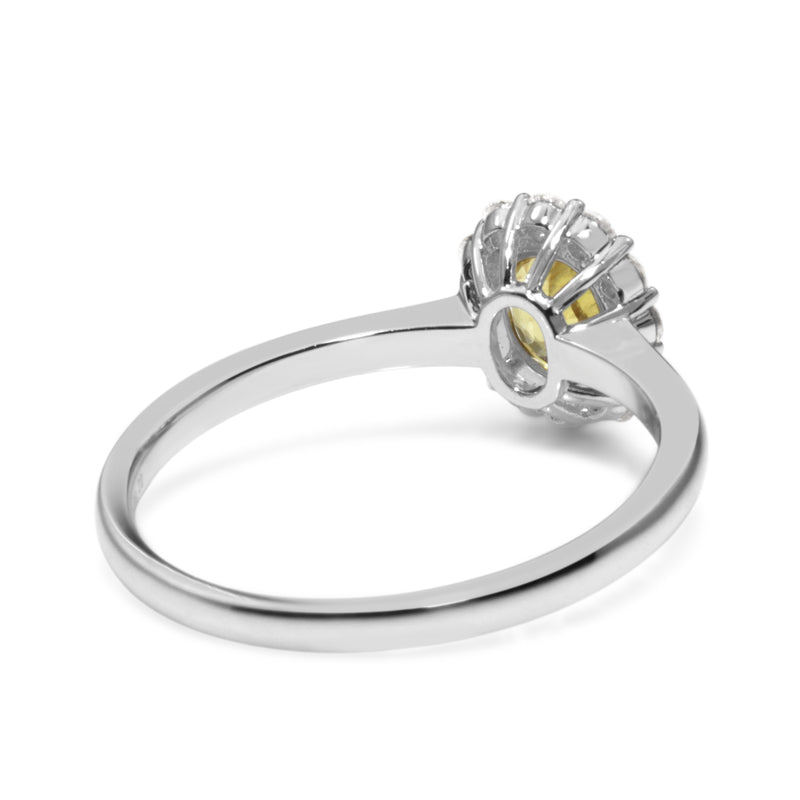 18ct White Gold Yellow Sapphire and Diamond Halo Ring