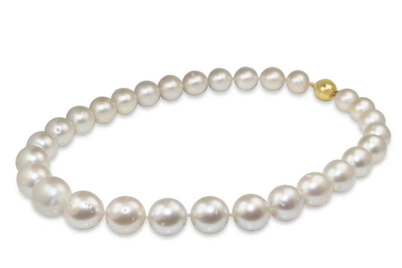 13 - 16mm South Sea Pearls on 9ct Yellow Gold Clasp