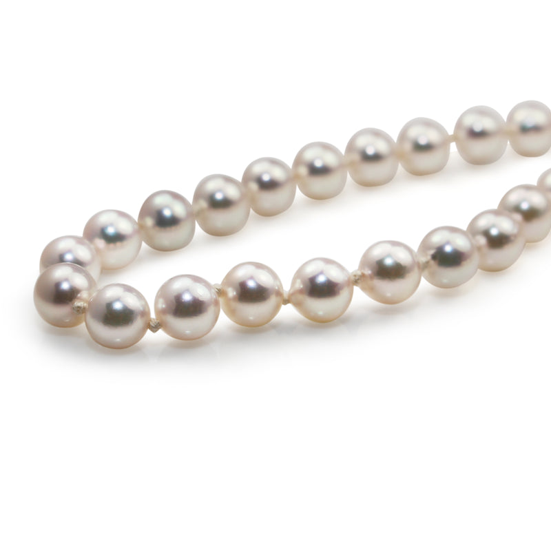 6.5 - 7mm Akoya Cultured Pearl Strand Necklace on 9ct Yellow Gold Clasp