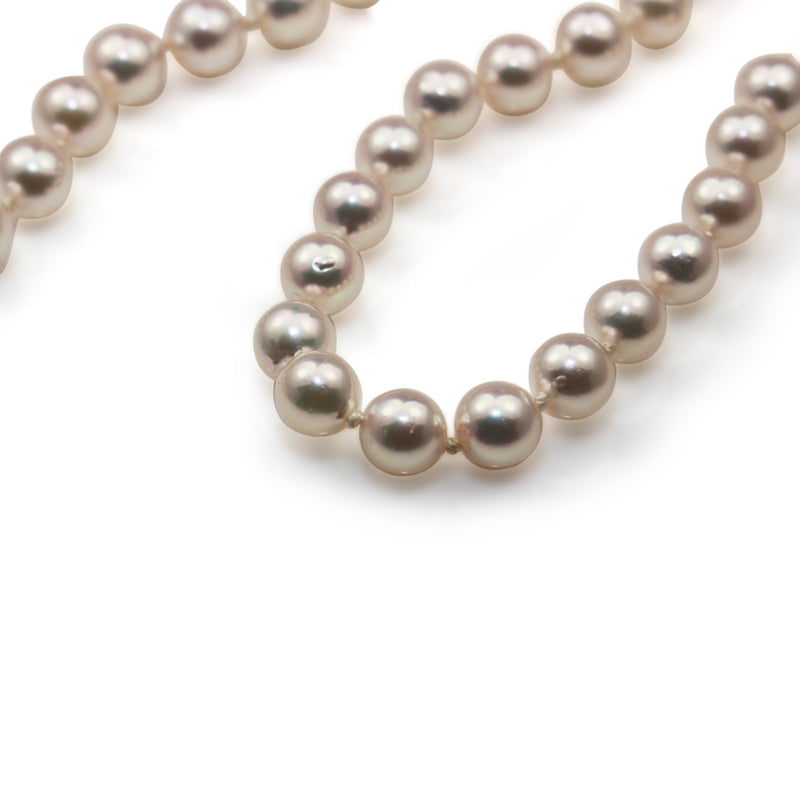 6.5 - 7mm Akoya Cultured Pearl Strand Necklace on 9ct Yellow Gold Clasp