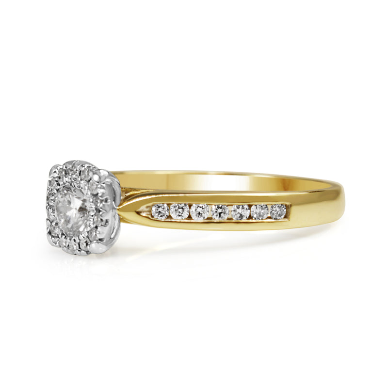 9ct Yellow and White Gold Diamond Halo Ring