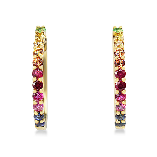 9ct Yellow Gold Multi Colour Sapphire Rainbow Hoop Earrings