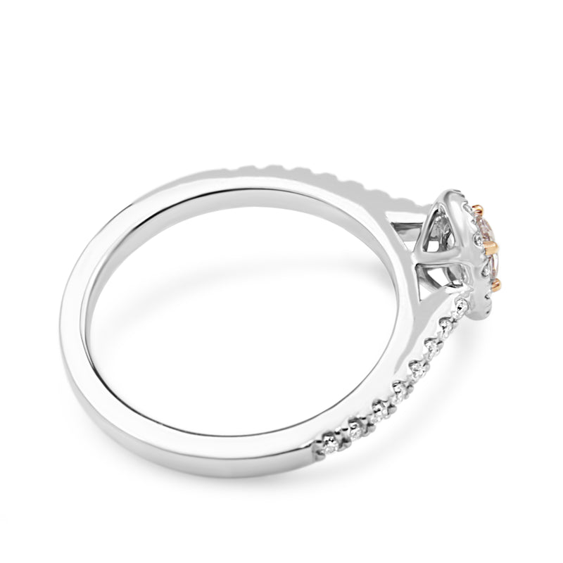 18ct White and Rose Gold Oval Pink Diamond Halo Ring