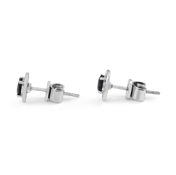 14ct White Gold Sapphire Stud Earrings