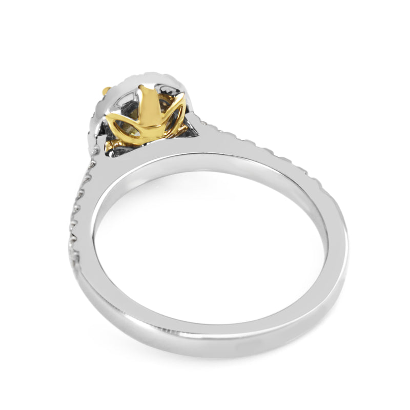 18ct Yellow and White Gold Yellow Oval Diamond Halo Ring
