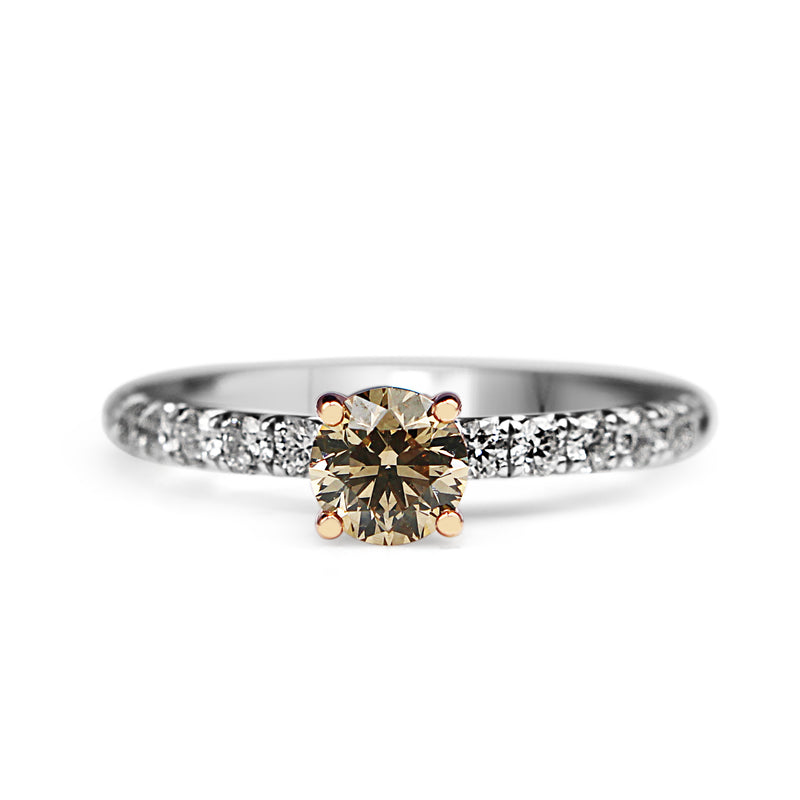 18ct White and Rose Gold Argyle Champagne Diamond Solitaire Ring