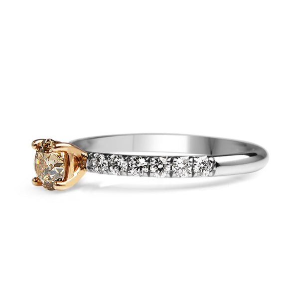 18ct White and Rose Gold Argyle Champagne Diamond Solitaire Ring