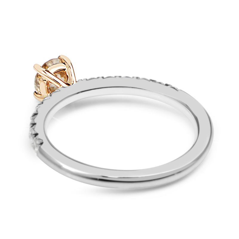 18ct White and Rose Gold Argyle Champagne Diamond Solitaire Ring