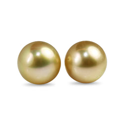 18ct Yellow Gold 12mm Golden South Sea Pearl Stud Earrings